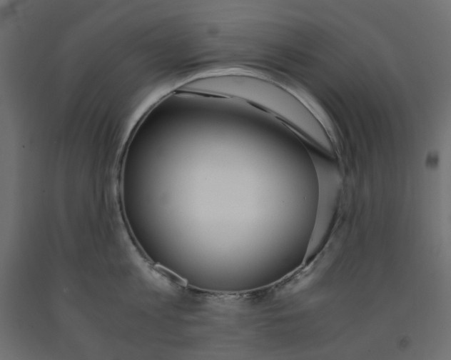 X0000091860813200710031700