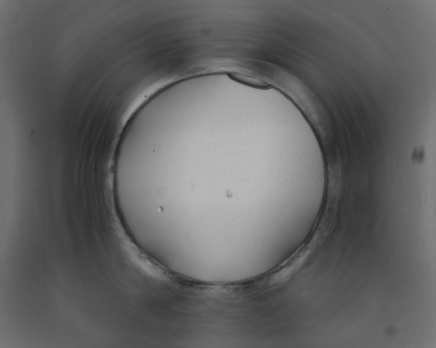 X0000091860814200710031700