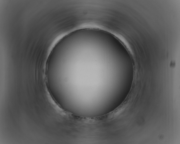 X0000091860815200710031700