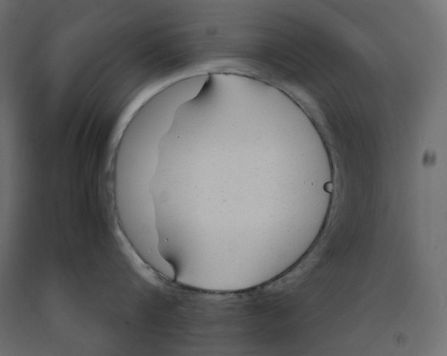 X0000091860816200710031700