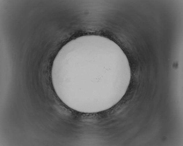 X0000091860817200710031659