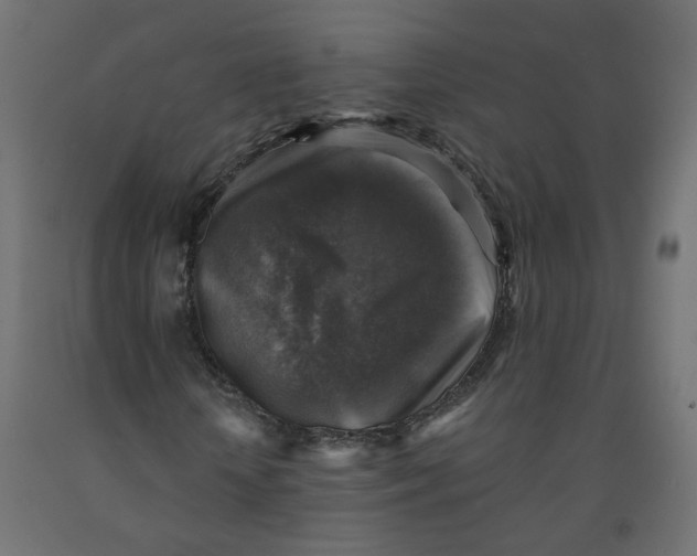 X0000091860818200710031659