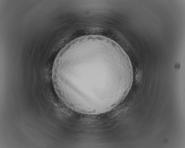 X0000091860819200710031659