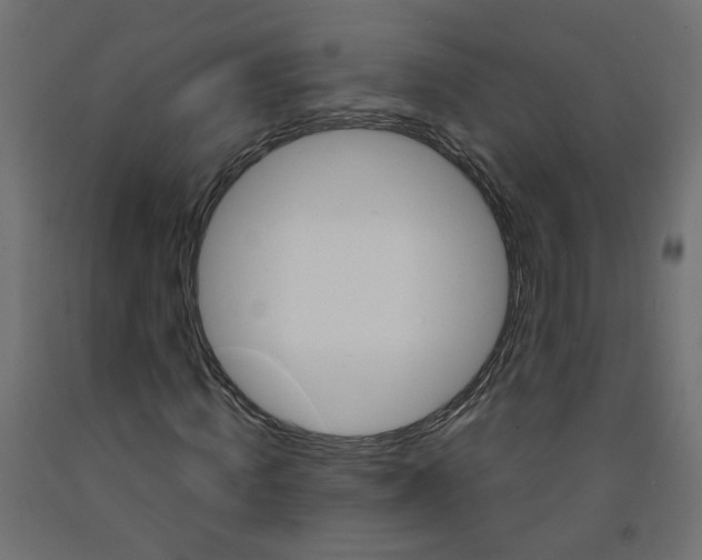 X0000091860820200710031659