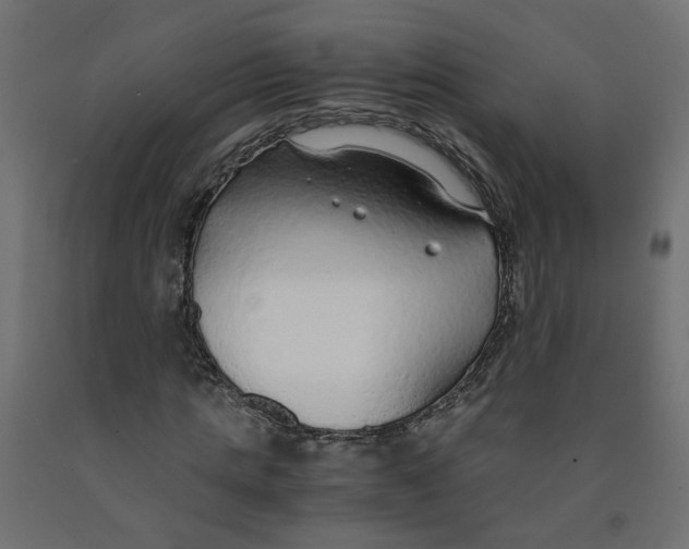 X0000091860821200710031659