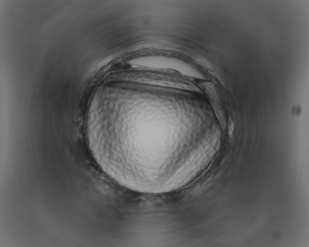 X0000091860822200710031659