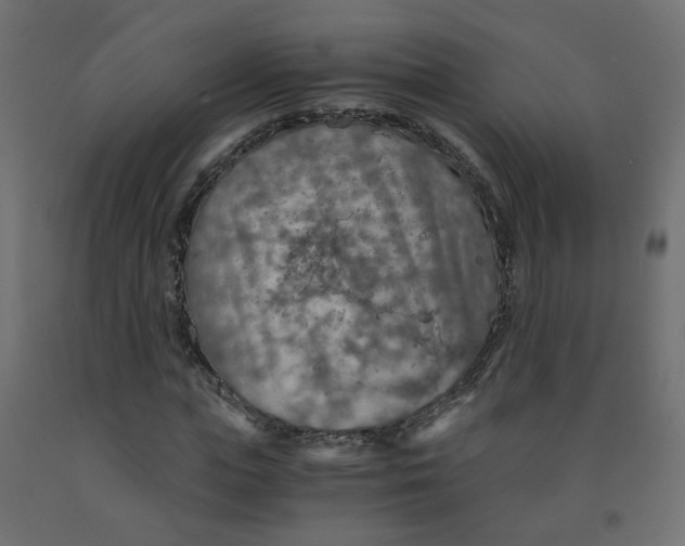 X0000091860823200710031659