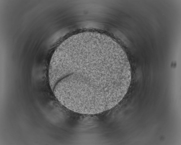 X0000091860824200710031659