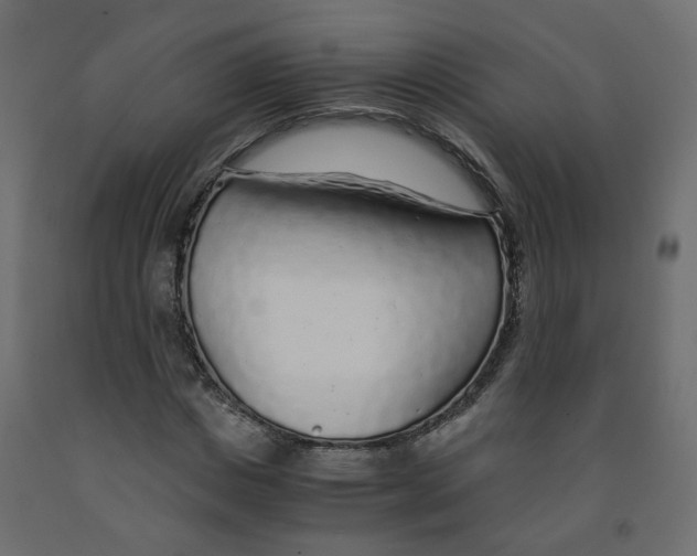 X0000091860825200710031659