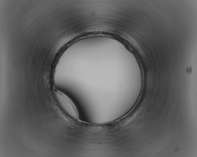 X0000091860826200710031659