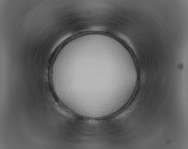 X0000091860827200710031659