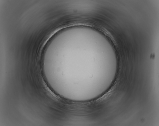 X0000091860828200710031659