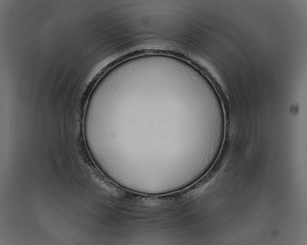 X0000091860829200710031659