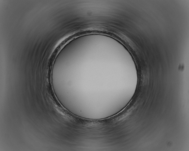 X0000091860830200710031659