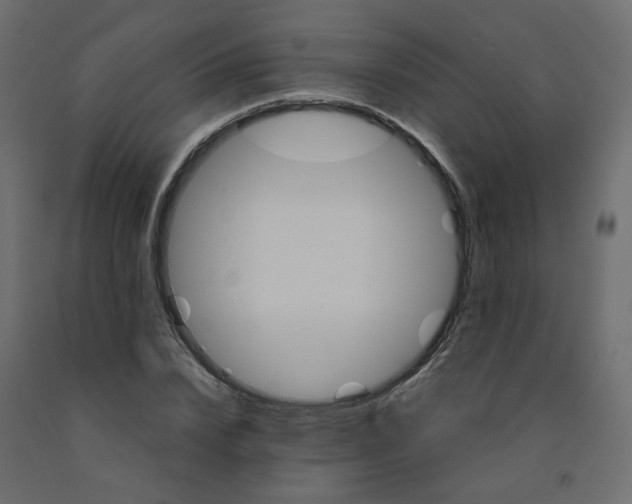 X0000091860832200710031659