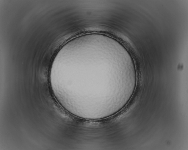 X0000091860833200710031659