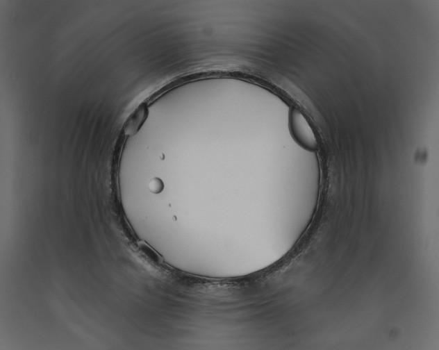 X0000091860834200710031659