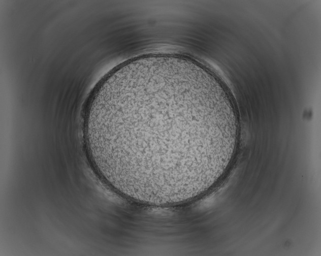 X0000091860835200710031659