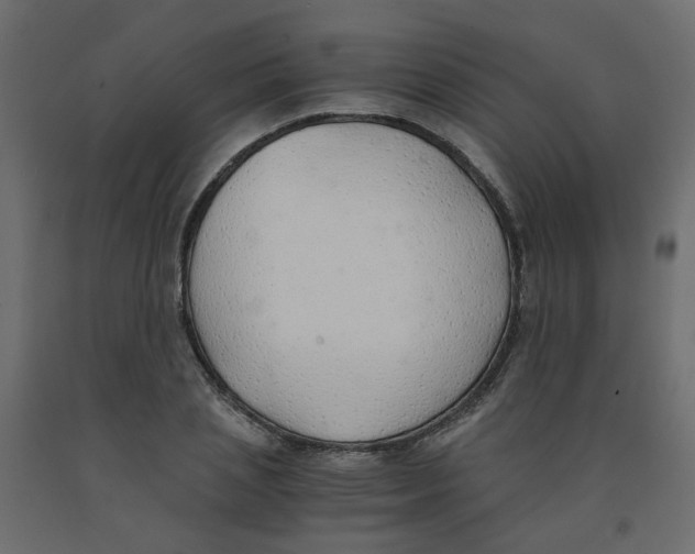 X0000091860837200710031659