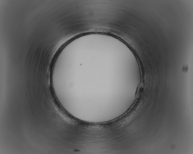 X0000091860838200710031659