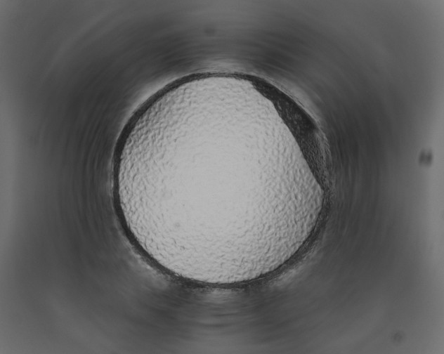 X0000091860839200710031659