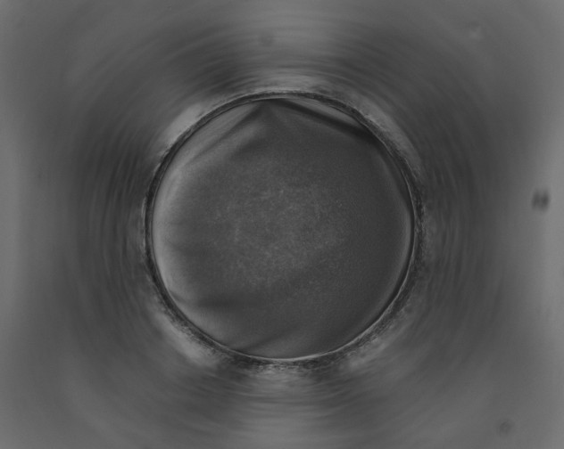 X0000091860842200710031659