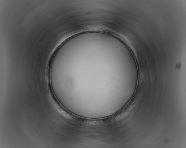 X0000091860843200710031700