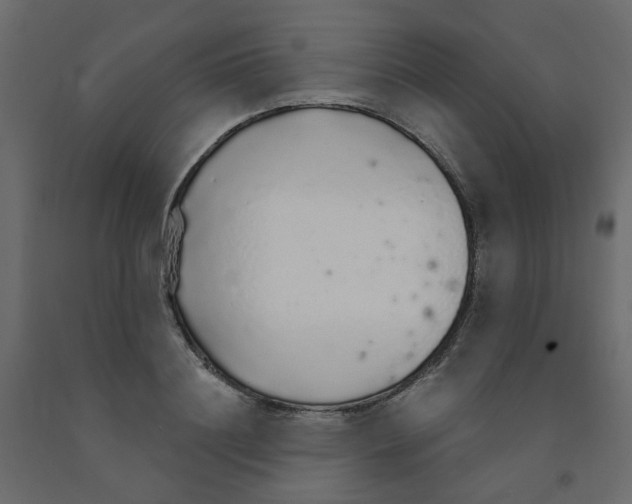 X0000091860844200710031700