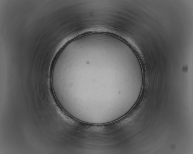 X0000091860845200710031700