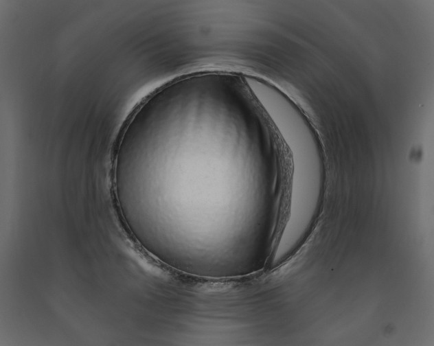 X0000091860846200710031700