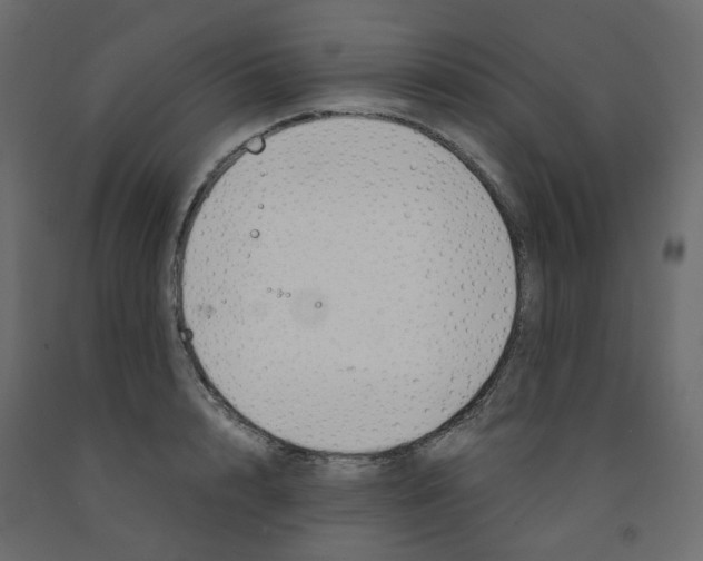 X0000091860848200710031700