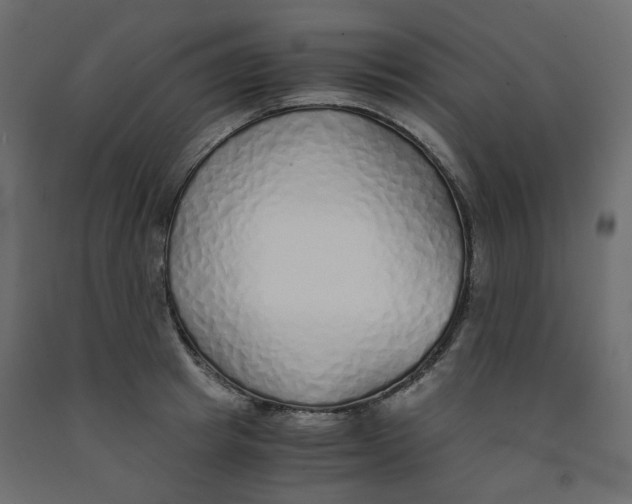 X0000091860849200710031700