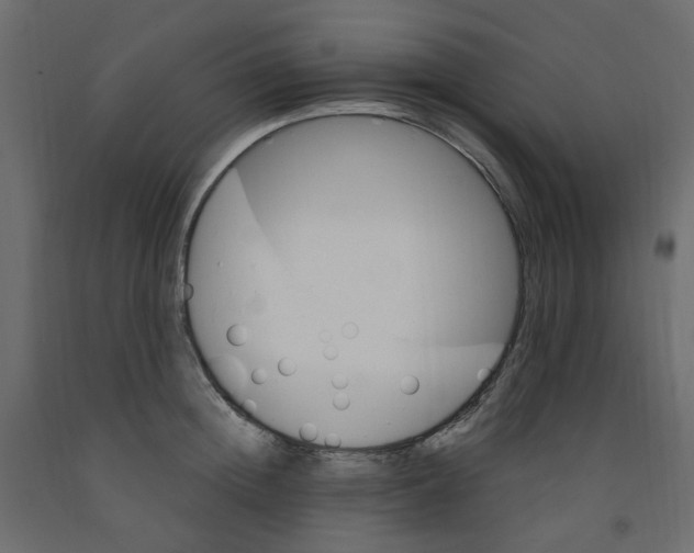 X0000091860852200710031700