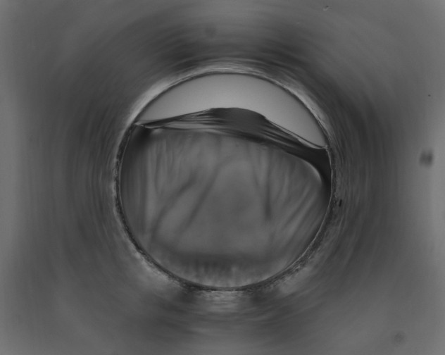 X0000091860853200710031700