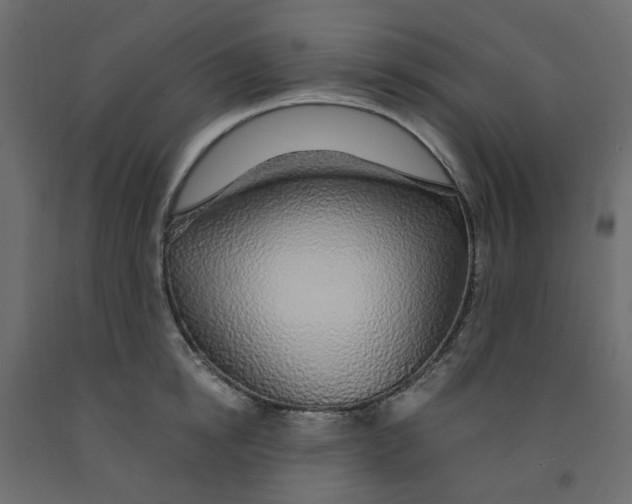 X0000091860854200710031700