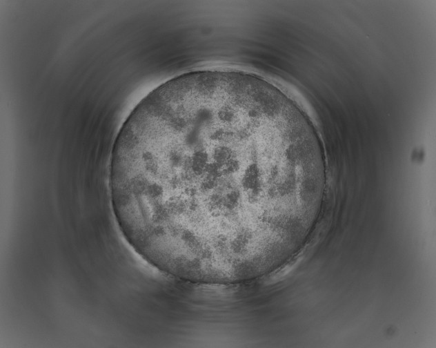 X0000091860855200710031700