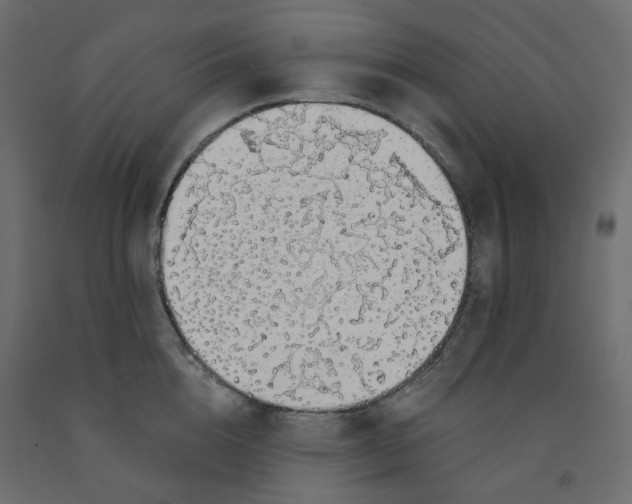 X0000091860856200710031700