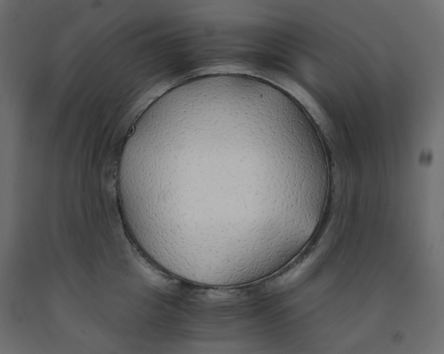 X0000091860857200710031700