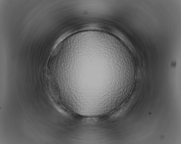 X0000091860858200710031700