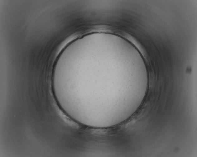 X0000091860861200710031700