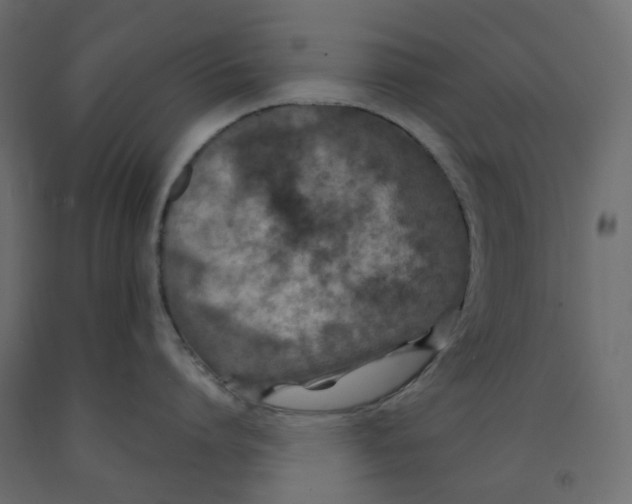 X0000091860864200710031700