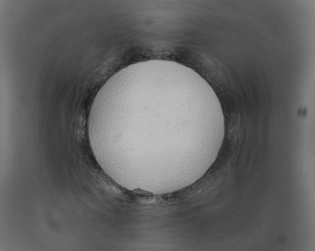 X0000091860866200710031659