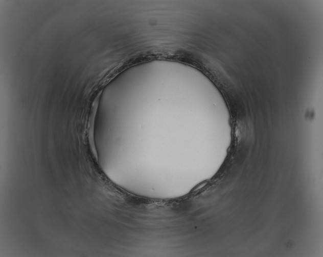 X0000091860867200710031659