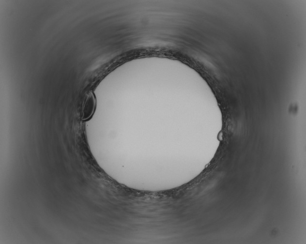 X0000091860869200710031659