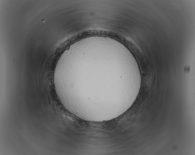 X0000091860870200710031659