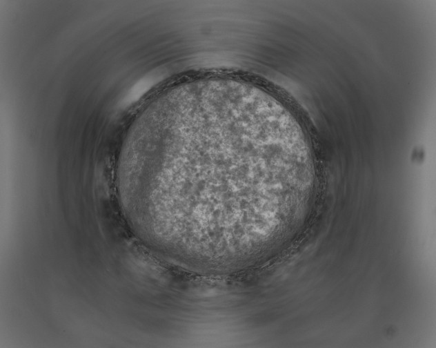 X0000091860871200710031659