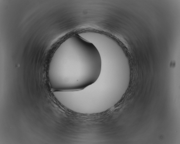 X0000091860872200710031659