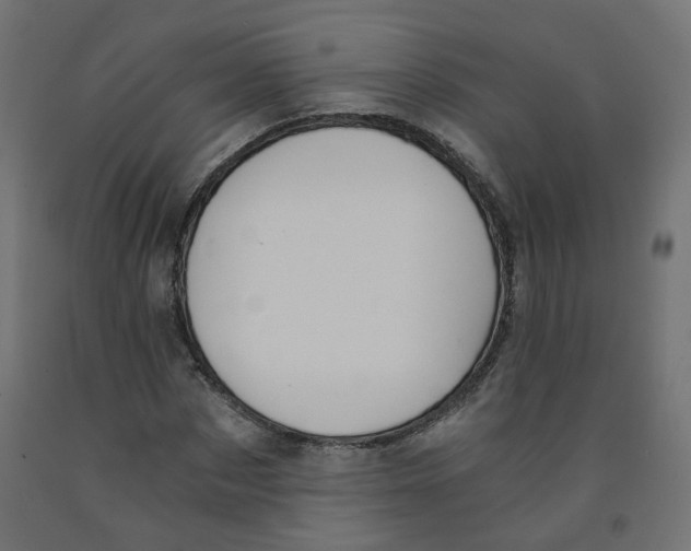 X0000091860873200710031659