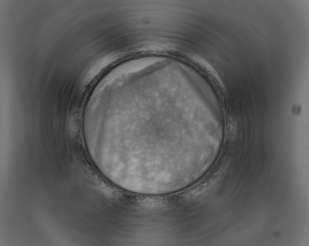 X0000091860874200710031659