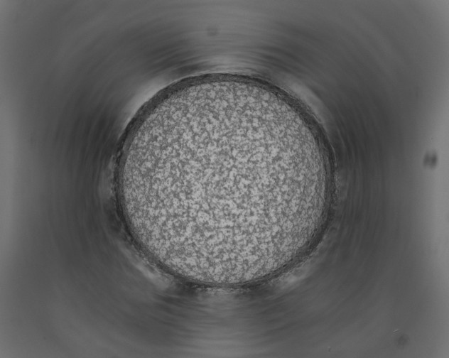 X0000091860875200710031659